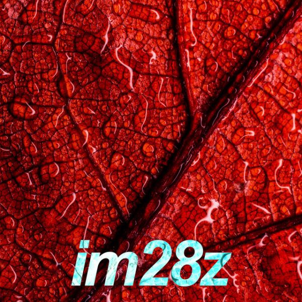 im28z - iemeveintiochozeta 2021